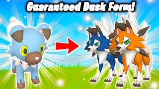 HOW TO GET GUARANTEED DUSK FORM LYCANROC IN POKEMON GO Easy Method Found  Lustrous Odyssey [upl. by Ahsino]