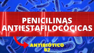 PENICILINAS ANTIESTAFILOCÓCICAS  ANTIBIÓTICOS 7 [upl. by Bradshaw]