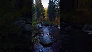 Bishop Pass Trail [upl. by Dorfman]