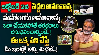 పెద్దల అమావాస్య  Mahalaya Paksha Amavasya  Peddala Amavasya  Pithru Tharpanam  Tirupati Murthy [upl. by Tamberg]