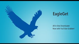 برنامج التحميل eagleget و حل جميع مشاكله و ظهوره على اليوتيب [upl. by Nivle]