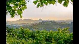 Collio passato presente e futuro dei vini bianchi italiani in uno dei territori più in forma [upl. by Minoru]