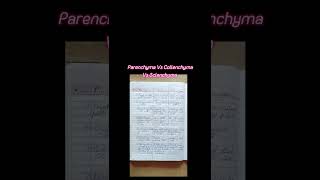 notes Parenchyma Vs Collenchyma Vs Sclenchyma newsong song bollywood music tseries [upl. by Aicillyhp]