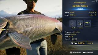 Sakhalin Taimen  Diamond  6122kg  134967 Lb  The Angler [upl. by Farhsa622]