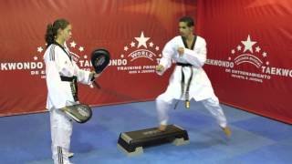 PRESENTACION DEL PROGRAMA MUNDIAL DE ENTRENAMIENTO DE TAEKWONDO [upl. by Adnoel]