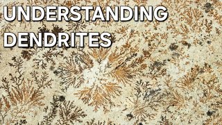 UNDERSTANDING DENDRITES MINERALOGY 🌴 [upl. by Airaet376]