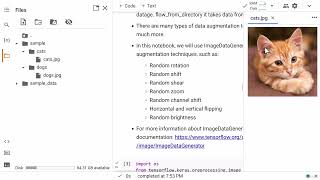 97 Sample Data Load with ImageDataGenerator for Augmentation [upl. by Dearman]