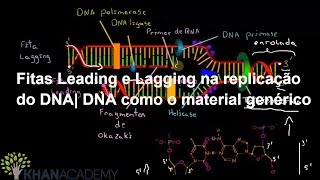 Fitas Leading e Lagging na replicação do DNA DNA como o material genérico Matemática Khan Academy [upl. by Ebehp]