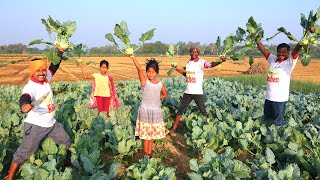 Farm fresh Winter Shalgom and river famous Vangor fish curry cooking for village people [upl. by Ahsats452]