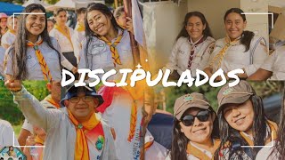 DISCIPULADOS canto tema camporee Guías Mayores 2024 [upl. by Mehta698]