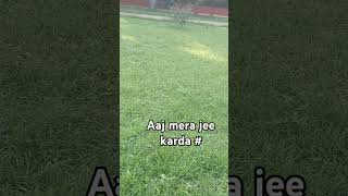 Aaj mera jee karda  मौके बार बार कहाँ मिलते हैं। [upl. by Yobybab772]