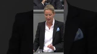 Deutschland versucht mit einer irrationalen Idee zu überleben afd aliceweidel [upl. by Eliason]