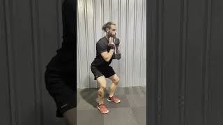 Dumbbell DB Goblet Squats Exercise Demo [upl. by Aihsyak858]