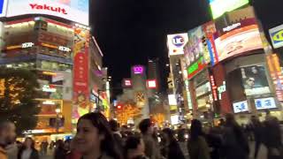 Night Life at Omotesando tokyo in the December 2024 [upl. by Berta620]