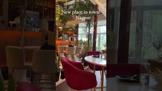 Salt cafe Nagpur food cafevlog cafe nagpurblogger rooftopcafe foodblog foodie vlogs [upl. by Latrice]