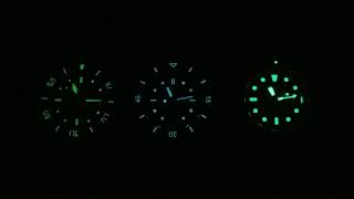 Spinnaker Bradner x Phoibos Wave Master x Seiko Padi Solar Lume [upl. by Savadove]