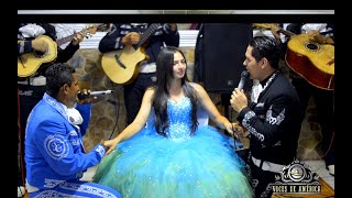 NO CREZCAS MÁS MARIACHI VOCES DE AMÉRICA MEDELLÍN COVER TERCER CIELO [upl. by Kat280]