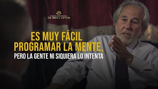 La ciencia que cambiará su futuro ¡EL DR BRUCE LIPTON EXPLICA CÓMO REPROGRAMAR TU MENTE [upl. by Enigroeg856]