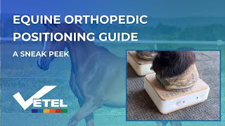 Equine Radiograph Positioning Guide For Veterinarians [upl. by Akkahs7]