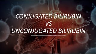 Conjugated Bilirubin VS UnConjugated Bilirubin [upl. by Musetta]