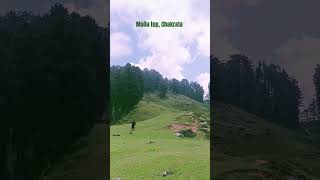 MOILA TOP chakrata near dehradun mountain meadows landscape nature travel [upl. by Biddle375]