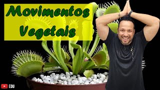 Movimentos Vegetais  Tropismo  Nastismo  Heliotropismo  Tactismo  Fisiologia Vetegetal [upl. by Obediah]