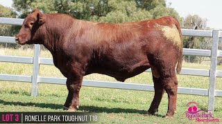 LOT 3  RONELLE PARK TOUGHNUT T18 [upl. by Auberon]