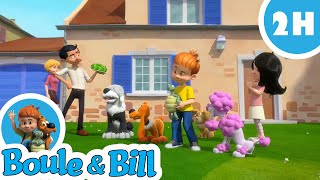 🎁 Boule et Bill sont des pros pour faire la fête 🎉  Nouvelle compilation Boule et Bill FR [upl. by Waldron332]