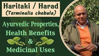 Haritaki  Harad Terminalia chebula  Ayurvedic Properties Health Benefits amp Medicinal Uses [upl. by Ethelred]