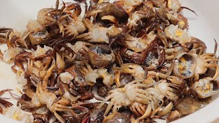 WOW Amazing Crab Field Traditional FOODS KH Fry Spicy Crab Eating In Village [upl. by Eenar]