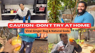 CAUTION  DONT TRY THIS AT HOME  Trying Viral Ginger Bug amp Naturally Fermented Soda Recipe [upl. by Kaltman132]