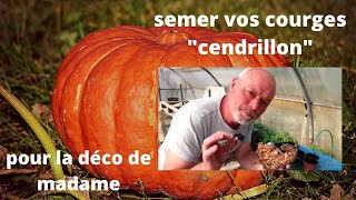 Comment semer les courges au jardin [upl. by Etteuqal]