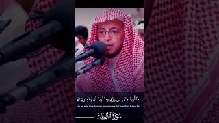 The Most Beautiful Quran Recitation Youll Ever Hear [upl. by Kcirej]