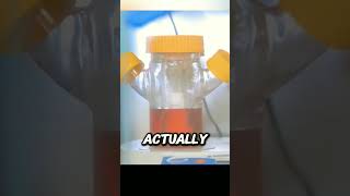 3D Printer Meat 🍖 shorts facts ytshorts [upl. by Lebaron]