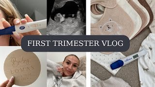 First Trimester Pregnancy Vlog  312 Weeks  UK First Time Mum  Scans Anxiety amp Symptoms [upl. by Millwater]