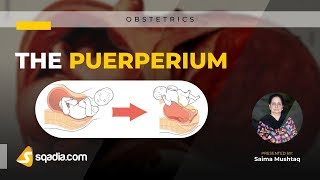 The Puerperium  Obstetrics Lectures 2019  sqadiacom  Medical Clinical Education [upl. by Owain]