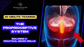 Free 30 Minute Training The Proprioceptive System [upl. by Notnert628]