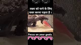 Focus on your goalsviralreels facts aivoice shortsvideo popular trending motivation [upl. by Cordelia983]