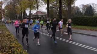 Zevenheuvelenloop 2014 [upl. by Moffit]