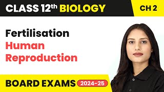 Fertilisation  Human Reproduction  Class 12 Biology Chapter 2  CBSE 202425 [upl. by Giguere]