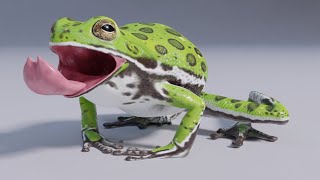 Barking Tree Frog [upl. by Sullivan]