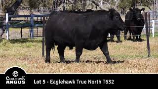 Lot 5 Eaglehawk True North T632 [upl. by Annayi]