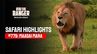 Safari Highlights 779 26 January 2024  Lalashe Maasai Mara  Latest Wildlife Sightings [upl. by Etnwahs685]