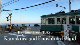 Kamakura and Enoshima Island Day tour from Tokyo Mt Fuji sighting and Shonan Monorail [upl. by Fanni]