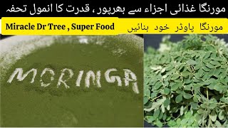 Moringa Powder  Drumstick Leaves Powder  How To Make Moringa Powder [upl. by Eidok]