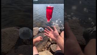 Trial 2 Does Red 40 Fish Attractant Work reels fishing [upl. by Nauwtna795]