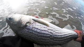 Fishing Yellow Teaser amp DIAMOND JIG Striped Bass  HARD DEEP WASH Stripers [upl. by Livia]