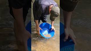 Chestatee River GOLD panning in Dahlonega GA [upl. by Olnay]