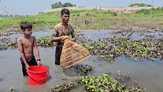 Fish HuntingAwesome fishing skillcatching big catfgish by bangladeshi fishing trap [upl. by Zurkow]