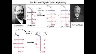 Lec10  The FischerKiliani Sugar Synthesis [upl. by Hsakiv]